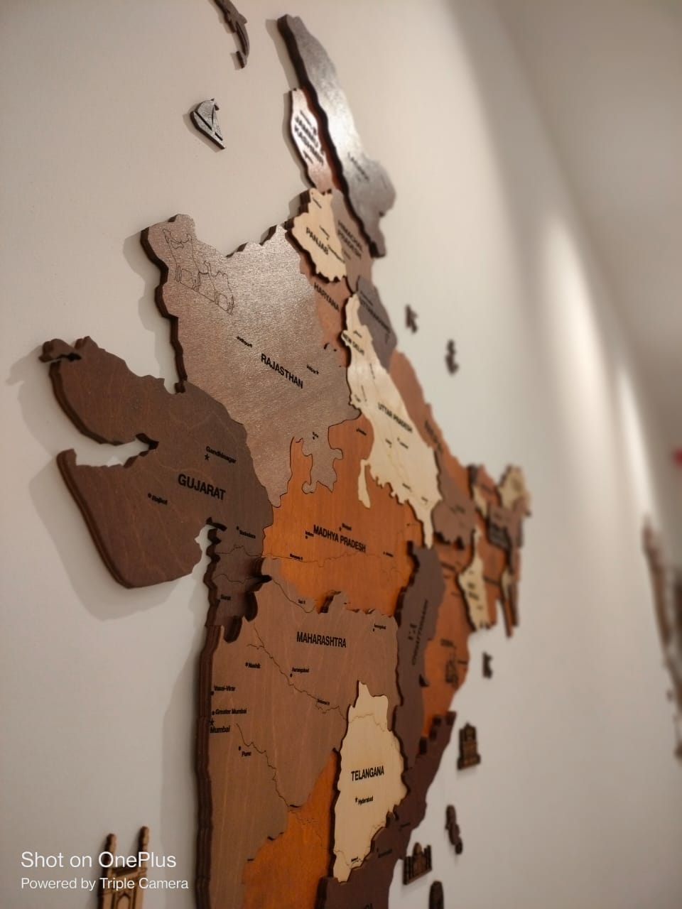 3D Wooden India Map-Multicolour